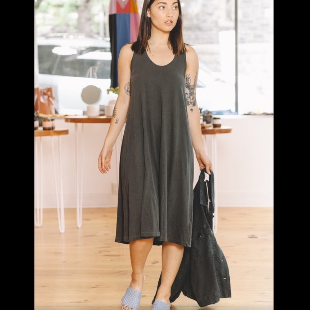 The Great swing dress xs nwt